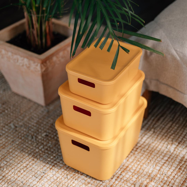 контейнер HANDY HOME Оптима 26,5x18,8x10см 4,5л пластик с крышкой желтый