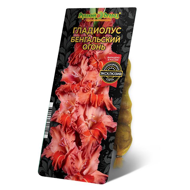 луковицы Гладиолус Бенгальский Огонь 8/12 5шт