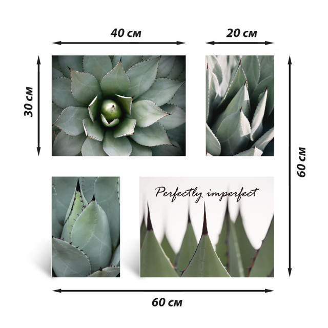 набор постеров Агава 600х600мм ПВХ