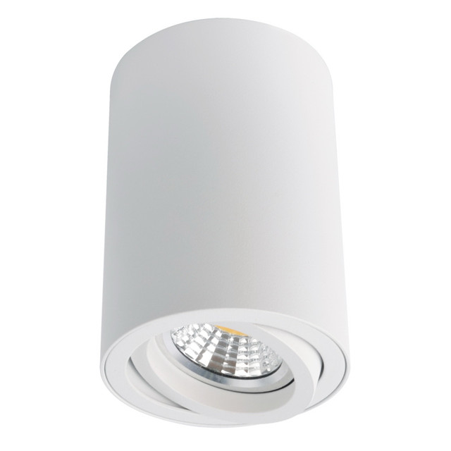 светильник накладной ARTE LAMP Sentry 1x50Вт GU10 алюминий белый