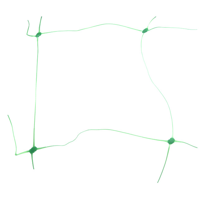 сетка садовая шпалерная 150х150мм 2х10м зелёный