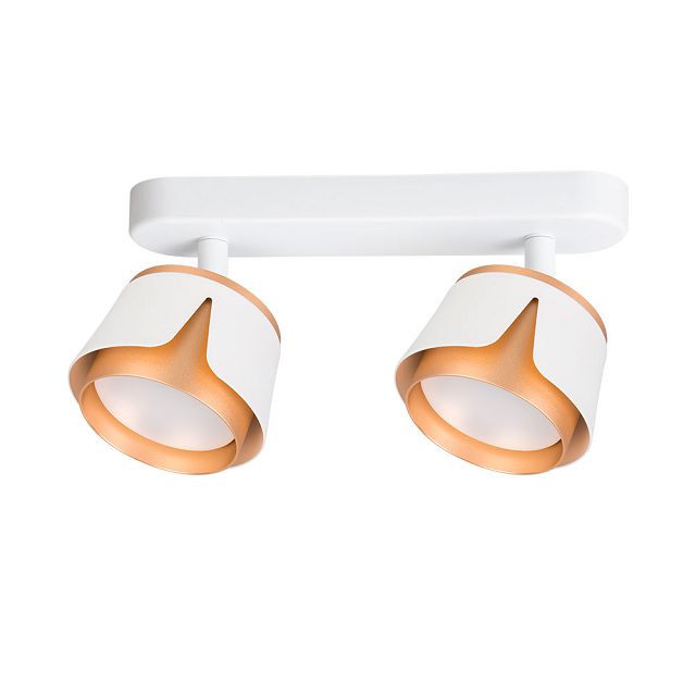 спот ARTE LAMP Amaks GX53 2х12Вт алюминий белый
