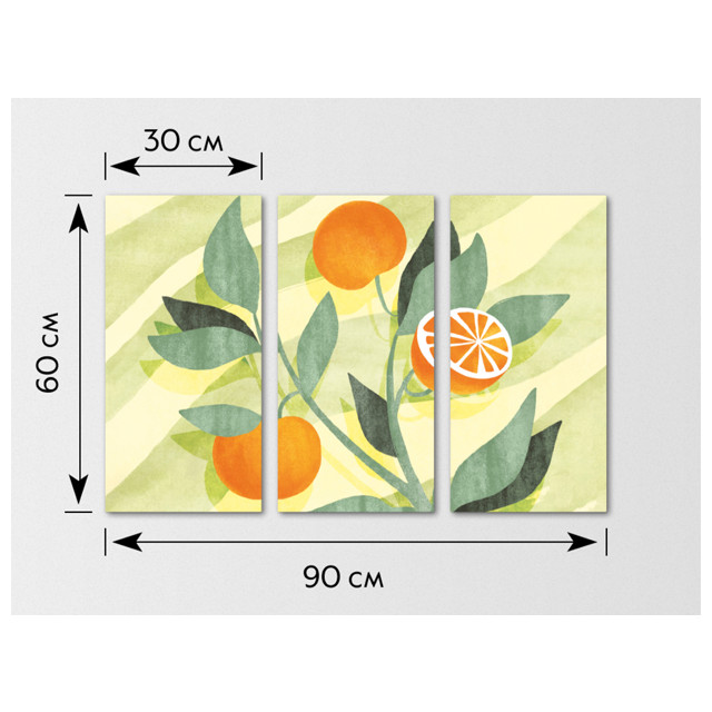 картина модульная ВЕТКА АПЕЛЬСИНА канвас 300х600мм 3 шт