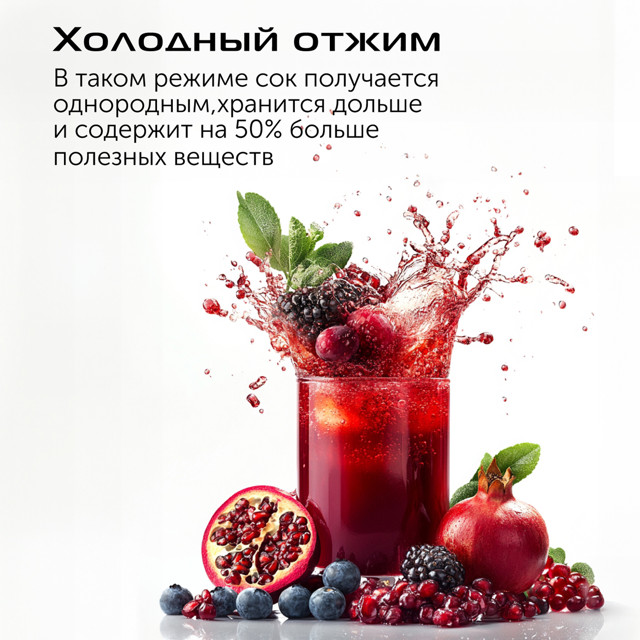 соковыжималка RED SOLUTION J950 580Вт шнековая терка/шинковка/драники