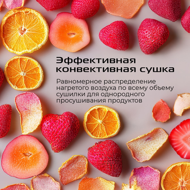 cушилка для овощей и фруктов RED SOLUTION DD041Н 450Вт 12 поддонов