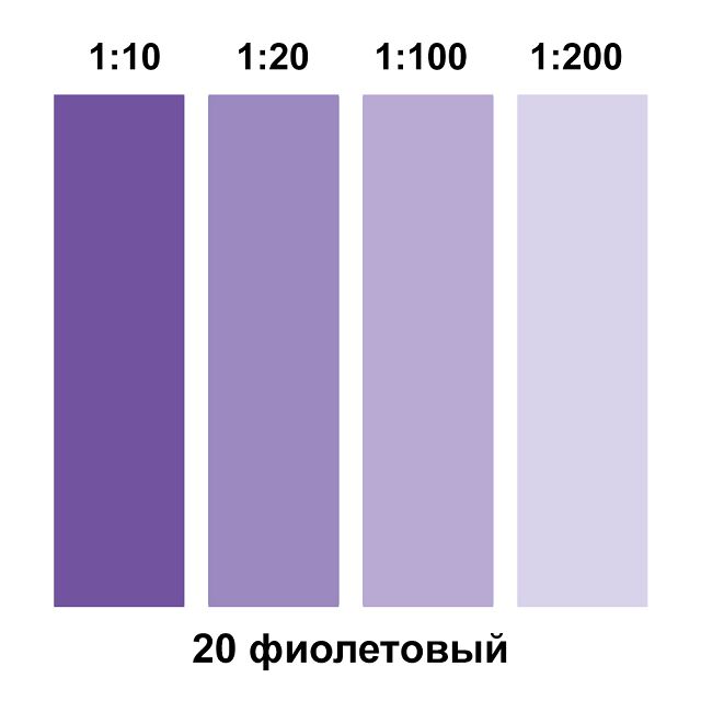 паста колеровочная ECOTERRA фиолетовый N20 0,1л, арт.ЭК000116089