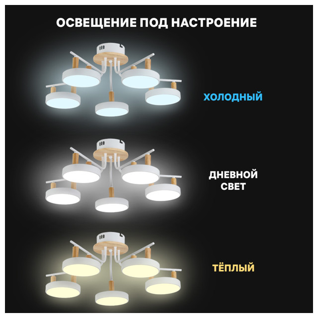 люстра потолочная RITTER Mattino 75Вт LED 5200Лм 2700/6400К белый