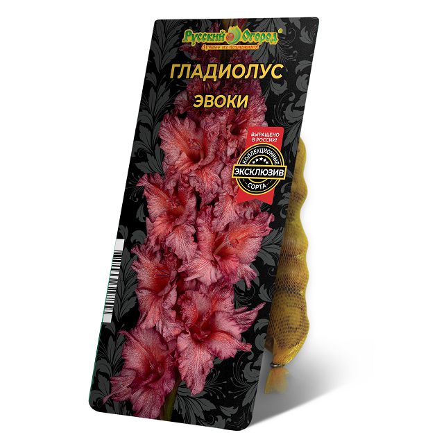 луковицы Гладиолус Эвоки 8/12 5шт
