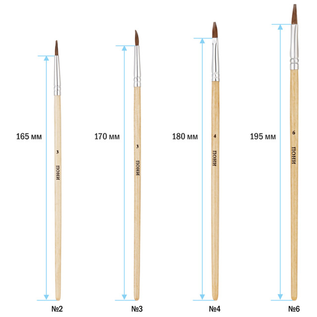 набор кистей ArtSpace 4шт пони круглые 2,3 плоские 4,6