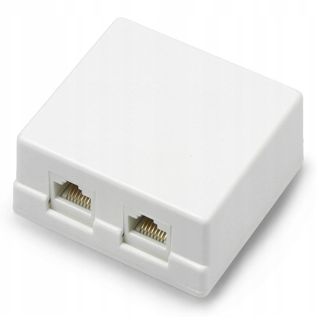 розетка компьютерная DORI на 2 входа (8P8C RJ45 Кат. 5е)