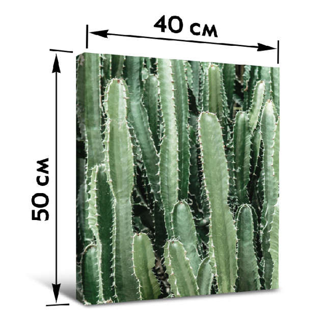 картина на холсте КАКТУС 400х500мм
