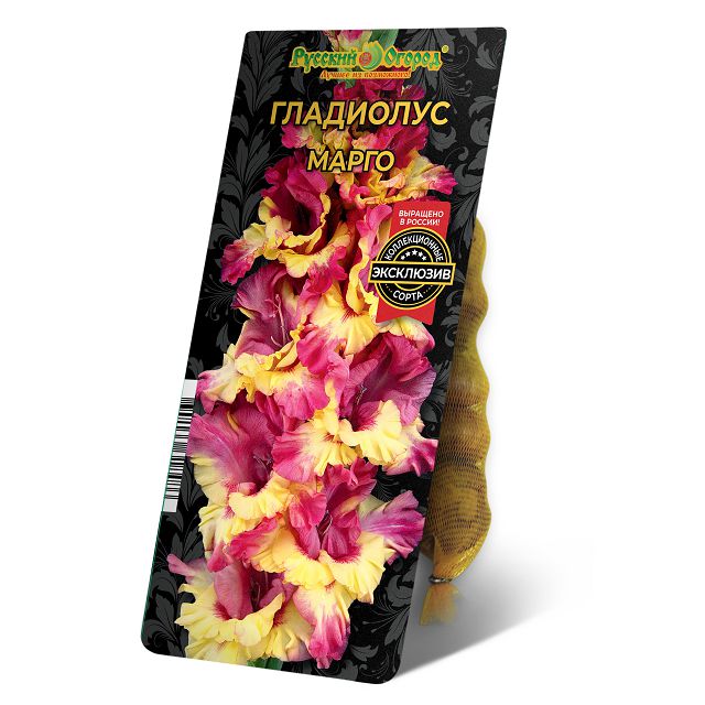луковицы Гладиолус Марго 8/12 5шт
