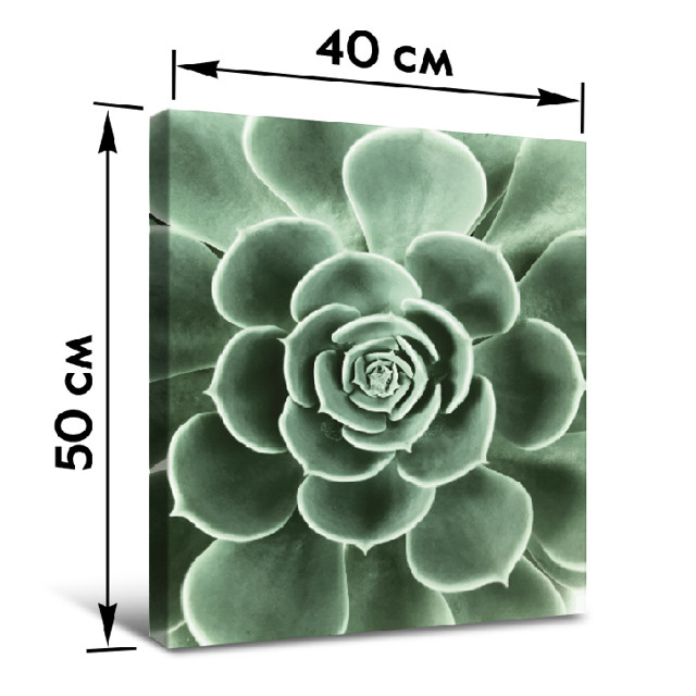 картина на холсте СУККУЛЕНТ 400х500мм