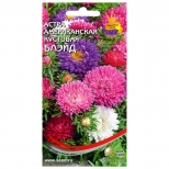 семена Астра американская кустовая Блейд ДОМ СЕМЯН 0,25г - фото в каталоге Максидом