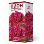 корни растений пион мол-цветк.трав. Карл Розенфельд в капере 1 шт. 2-3 корни растений пион мол-цветк.трав. Карл Розенфельд в капере 1 шт. 2-3 - фото в каталоге Максидом