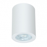 светильник накладной ARTE LAMP Tino GU10 35Вт IP44 алюминий белый - фото в каталоге Максидом
