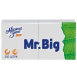салфетки МЯГКИЙ ЗНАК Mr.Big 1-слойные 24х24см 250шт салфетки МЯГКИЙ ЗНАК Mr.Big 1-слойные 24х24см 250шт - фото в каталоге Максидом