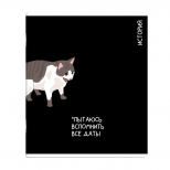 тетрадь История 48 л А5+ 60 г/кв.м клетка мягкий переплёт скоба тетрадь История 48 л А5+ 60 г/кв.м клетка мягкий переплёт скоба - фото в каталоге Максидом