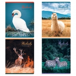 тетрадь 80л клетка А5 GREENWICH LINE Gift of nature тетрадь 80л клетка А5 GREENWICH LINE Gift of nature - фото в каталоге Максидом