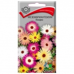 семена Мезембриантемум Искорки ПОИСК 0,3г - фото в каталоге Максидом