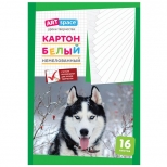 картон белый ARTSPACE 16л А4 220 г/кв.м немелованный в папке картон белый ARTSPACE 16л А4 220 г/кв.м немелованный в папке - фото в каталоге Максидом